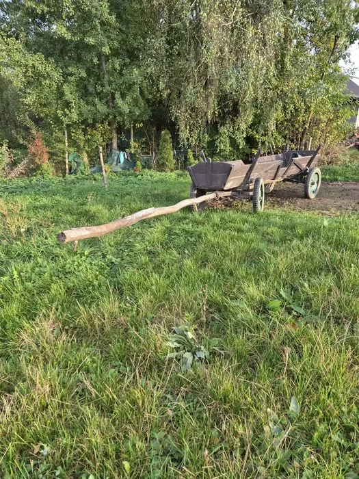 Wóz konny lekki – zdjęcie 2