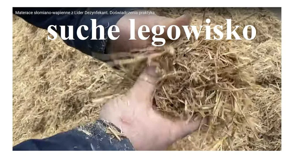 Lider Dezynfekant, dezynfekant Lider preparat do osuszania legowisk – zdjęcie 3