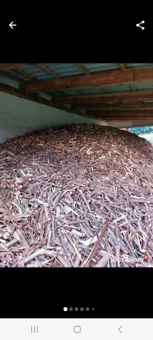 Biomasa, zrębka sucha z wierzby energetycznej