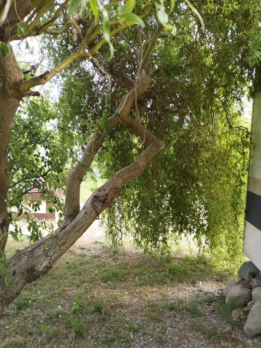 Domek nad jeziorem brodnickie pojezierze wolne od 28 wrzesień – zdjęcie 9