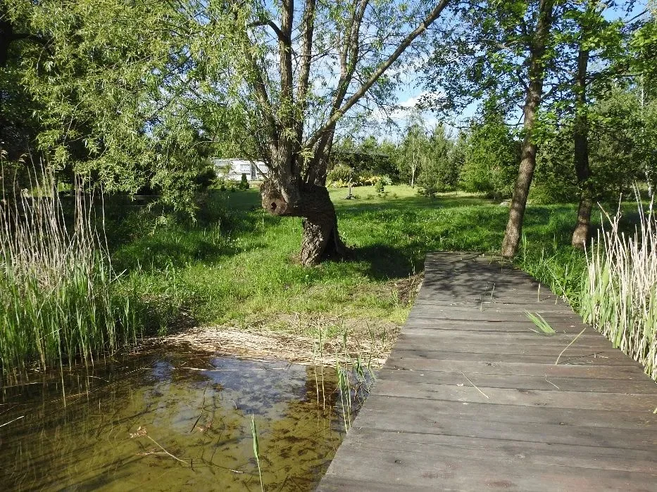 Domek nad jeziorem brodnickie pojezierze wolne od 28 wrzesień