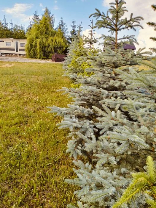 Domek nad jeziorem brodnickie pojezierze wolne od 28 wrzesień – zdjęcie 10