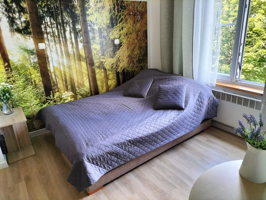 Apartament Kudowa!