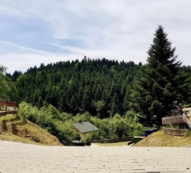 Wolny SYLWESTER DOMKI Nad Soliną w Bieszczadach w lesie na odludziu blisko jeziora – zdjęcie 3