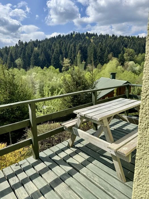 Wolny SYLWESTER DOMKI Nad Soliną w Bieszczadach w lesie na odludziu blisko jeziora – zdjęcie 10