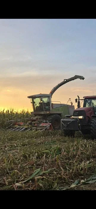Claas jaguar 840 – zdjęcie 5