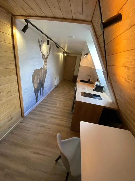 Apartament Zakopane lux nocleg zakopane last minute – zdjęcie 4