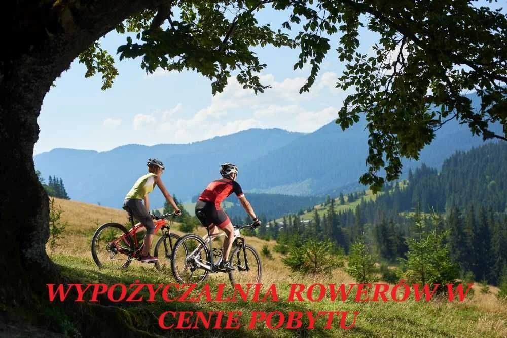 Apartament Domek Nastrojowy LOVE SPA JAUCUZZI w pokoju na wyłączność na życzenie śniadanie do pokoju strefa grill wypoczynek jacuzzi rowery E-bike – zdjęcie 11