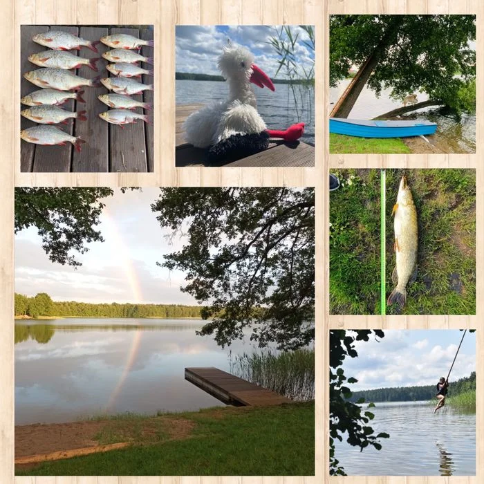 Domek, Mazury, linia brzegowa, Sauna, bania – zdjęcie 5
