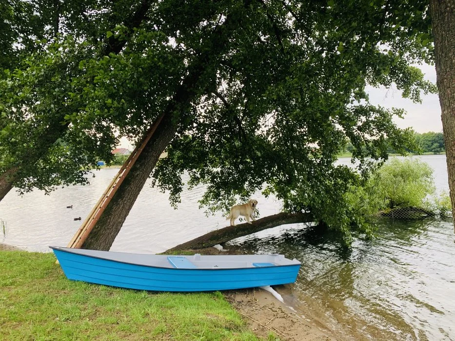 Domek, Mazury, linia brzegowa, Sauna, bania – zdjęcie 11