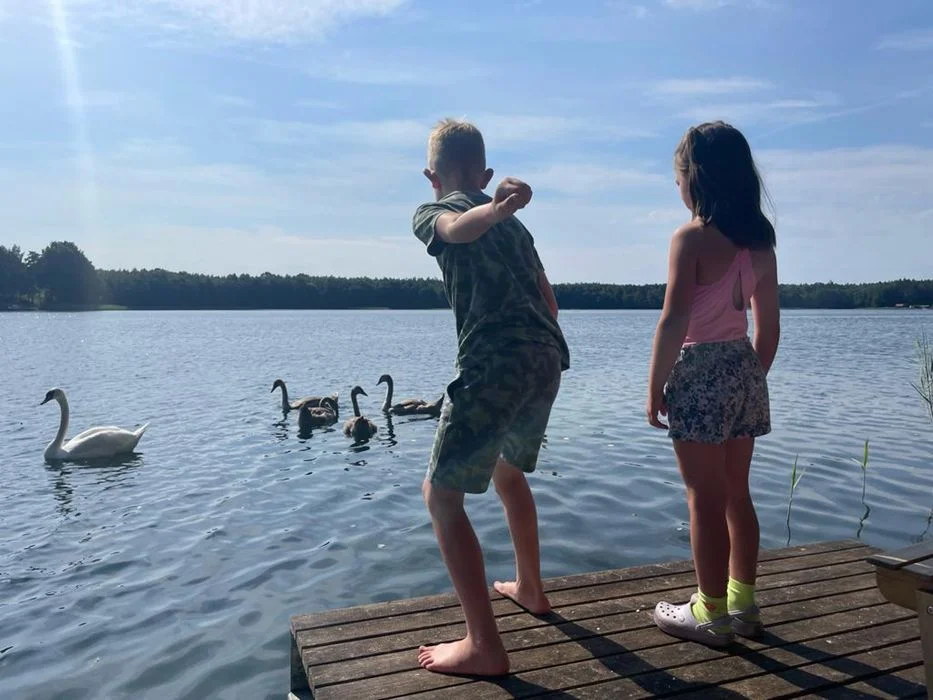 Domek, Mazury, linia brzegowa, Sauna, bania – zdjęcie 8