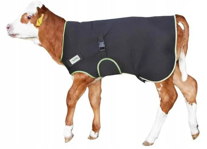 Derka dla cielaka PREMIUM granatowa Kerbl, 70 lub 80 cm – zdjęcie 2