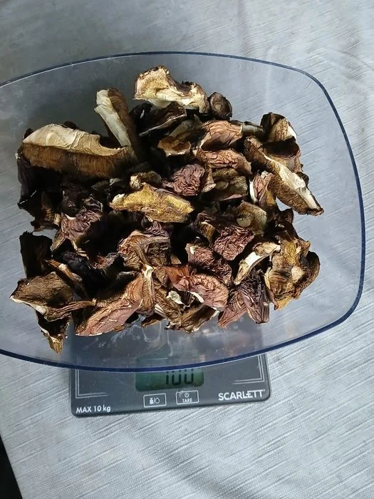 Grzyby suszone podgrzybki 100g