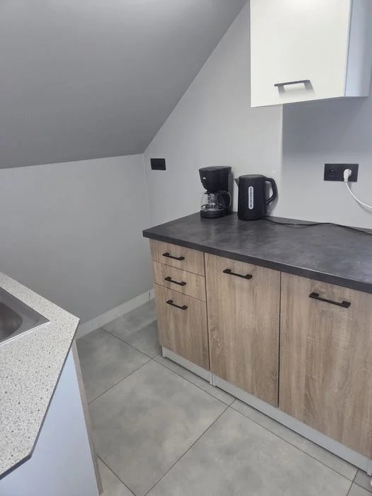 Apartament w Lubniewicach z dostępem do jeziora i sauny .Aneks kuchenny , Grill – zdjęcie 3
