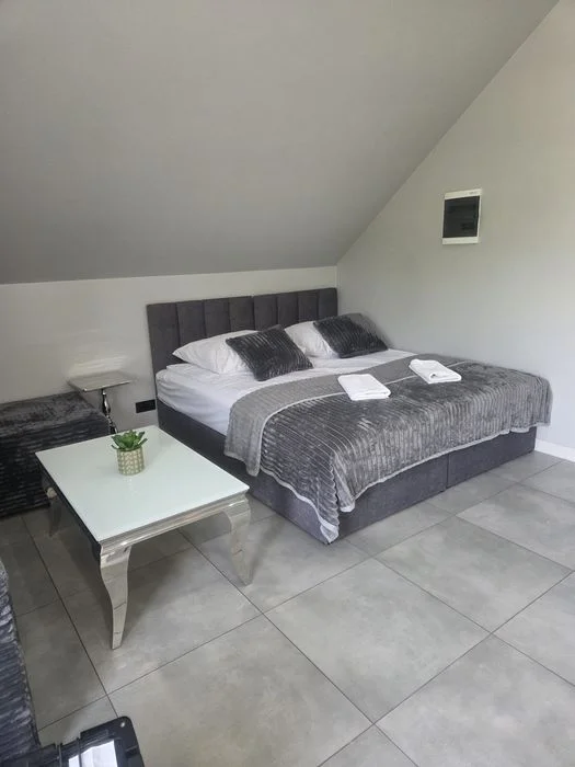 Apartament w Lubniewicach z dostępem do jeziora i sauny .Aneks kuchenny , Grill