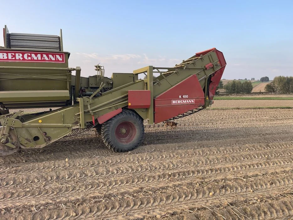 Sprzedam kombajn ziemniaczany Bergmann k100 – zdjęcie 3