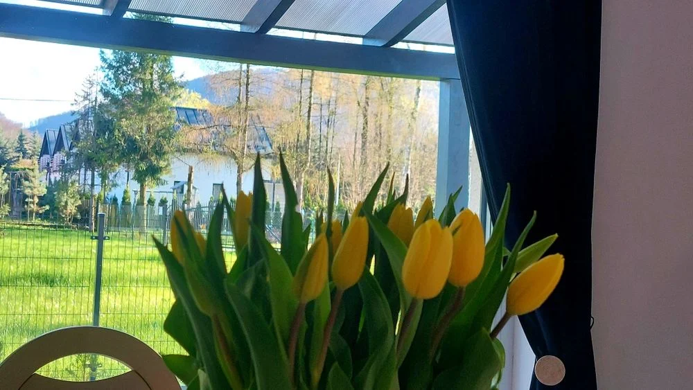 Wakacje w górach Domki Beskid Śląski Ustroń – zdjęcie 12