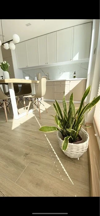 Wolne 13-15.11 balia sauna 4 sypialnie domek do wynajęcia kaszuby – zdjęcie 11
