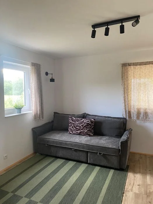Dom Serwy, nad jeziorem, spacery na grzyby, jacuzzi, Augustów, – zdjęcie 9