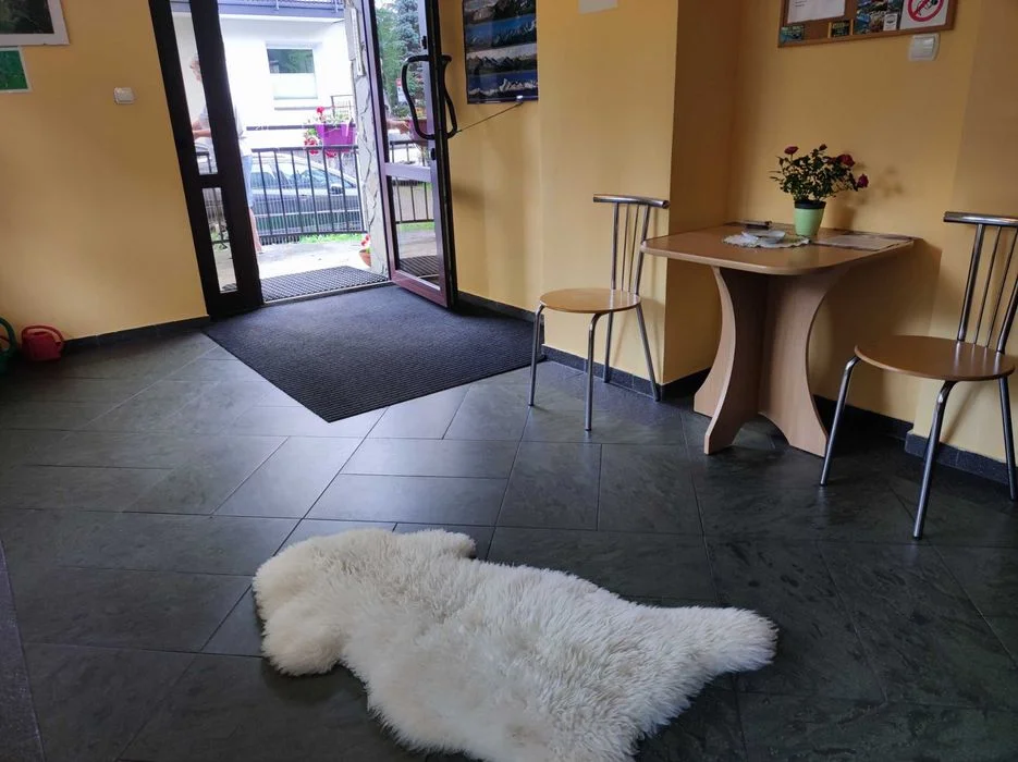 Zakopane, tanie noclegi, pokoje z łazienką, dla rodzin z dziećmi, apartamenty, blisko szlaków, Krupówek – zdjęcie 2