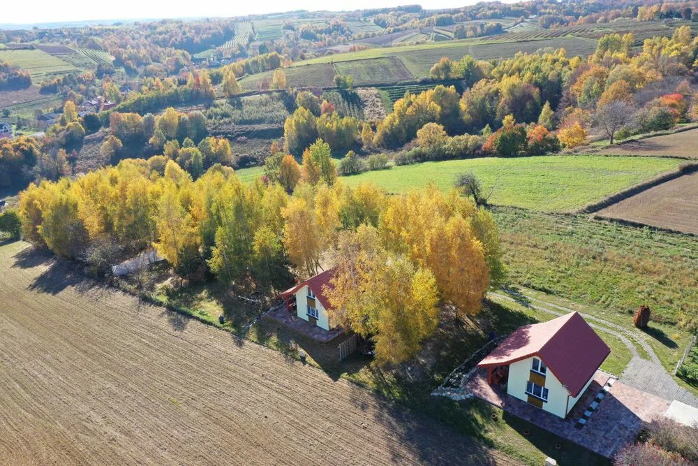 Domki na brzozowym wzgórzu – zdjęcie 4