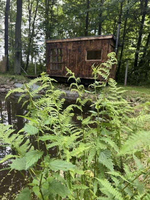 Romantyczna chatka dla dwojga, sauna, Podbeskidzie – zdjęcie 9