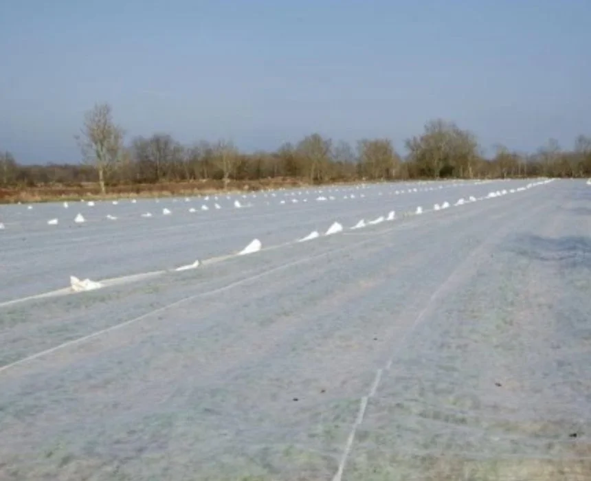 Agrowłóknina 12.65x100 P23g WB, 30g Okrywowa. Potrójny Zgrzew – zdjęcie 4