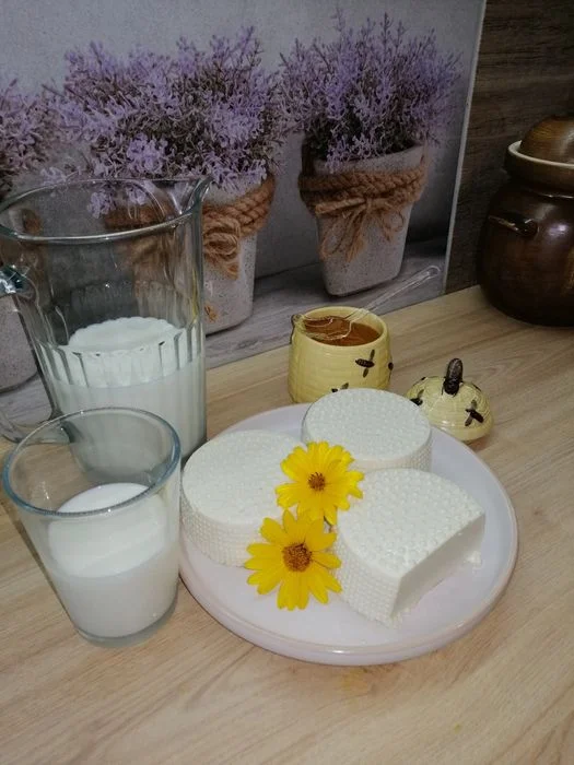 Mleko kozie i sery podpuszczkowe – zdjęcie 2