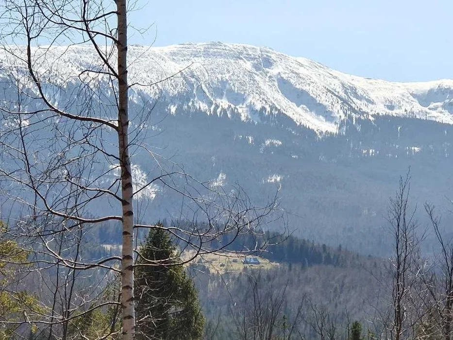 Zawoja Domek 1895 - Sauna i Bania, góry. Beskid Żywiecki, ferie 2027 – zdjęcie 8