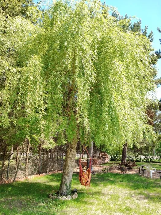 Dom w Nadolu nad jeziorem Żarnowieckim Wolne terminy – zdjęcie 12
