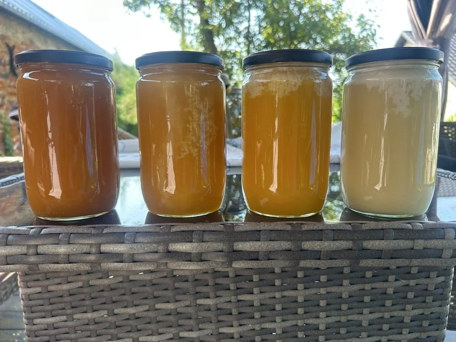 Miód hurt 1kg-720 ml w słoiku – własna etykieta – producent – zdjęcie 2