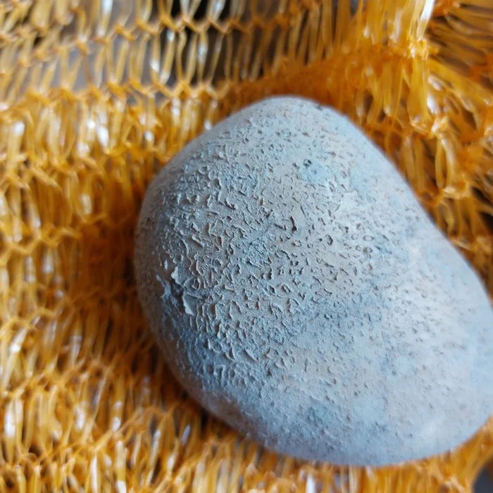 Ziemniaki jadalne wineta katania – zdjęcie 2