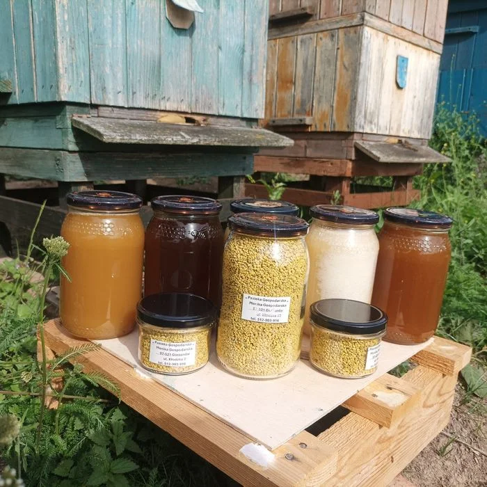 Miód , pyłek kwiatowy , świece z wosku pszczelego , – zdjęcie 7