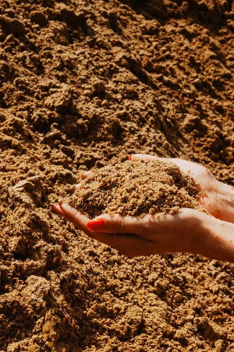 Młóto kukurydziane bez GMO min. 32% białka – prosto od producenta – całe auta 25t