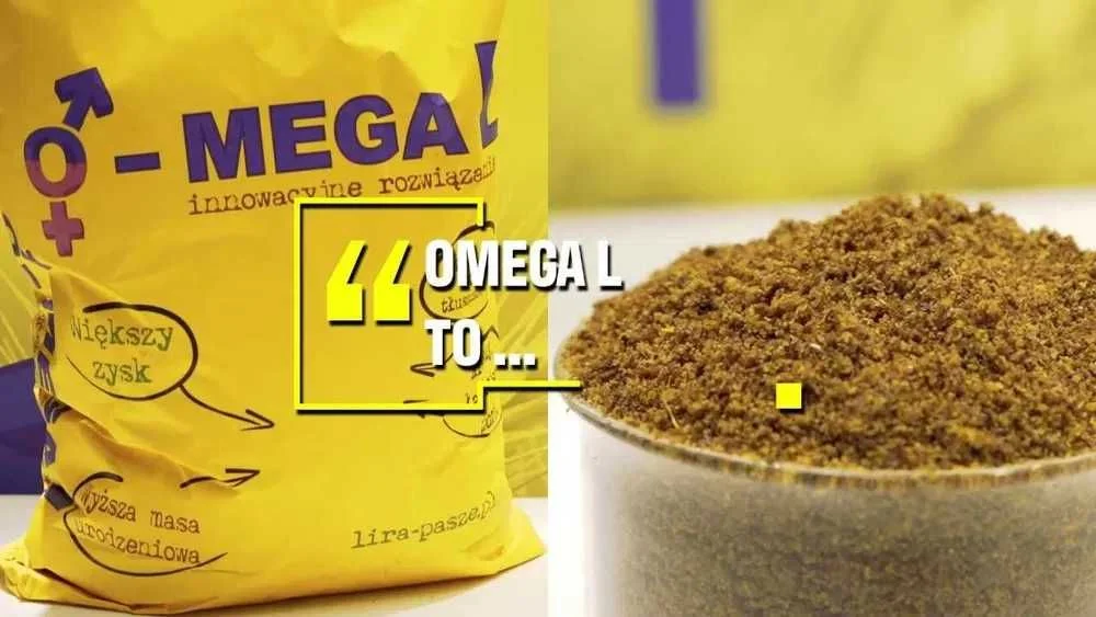 Tłuszcz chroniony naturalny O-MEGA L siemię lniane (omega L)