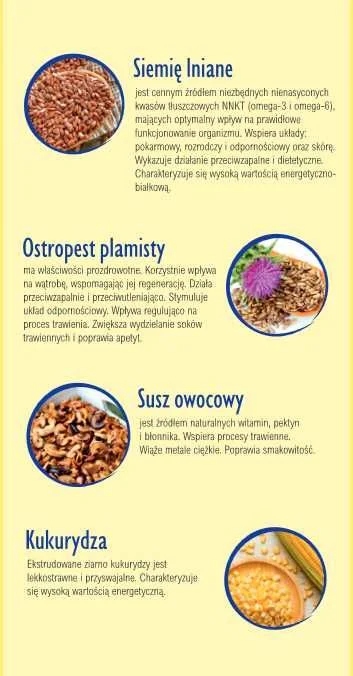 Tłuszcz chroniony naturalny O-MEGA L siemię lniane (omega L) – zdjęcie 4