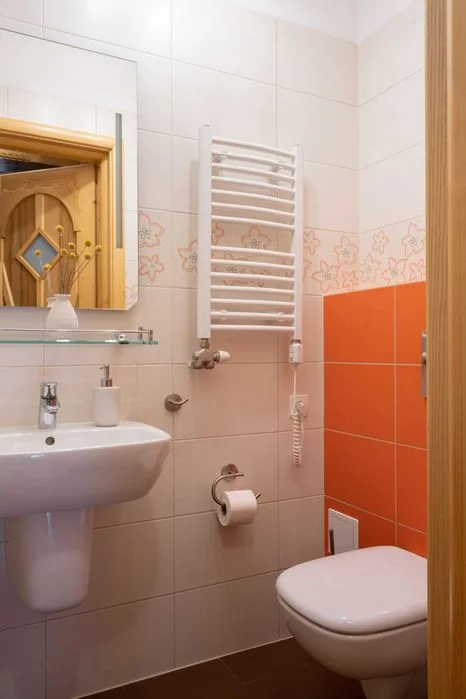 Wolny Apartament domek Noclegi Zakopane apartamenty domki – zdjęcie 12