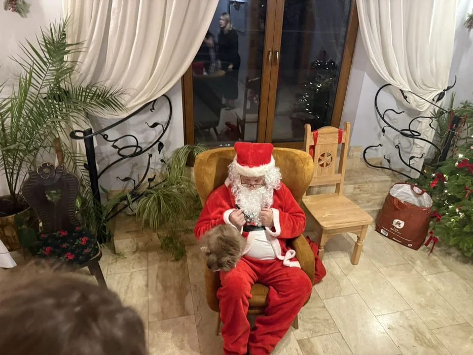 Święta Bożego Narodzenia w górach-uroczysta wigilia, orkiestra, kulig! – zdjęcie 4