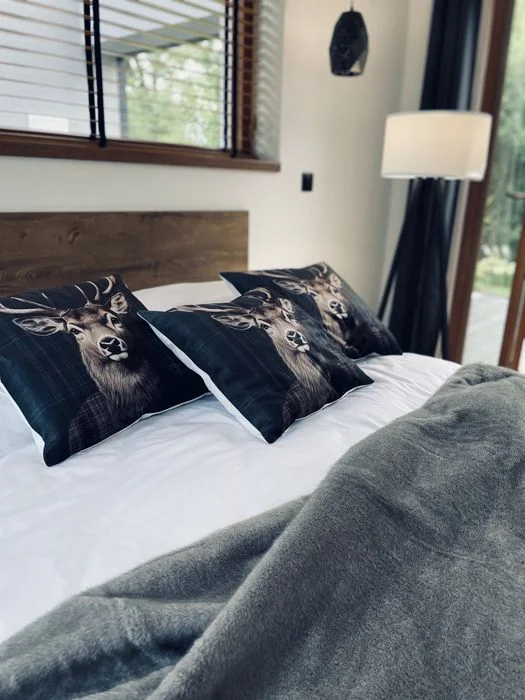 PROMOCJA DZISIAJ WOLNY weekend WOLNY DOMEK z Jacuzii prywatnym – zdjęcie 5