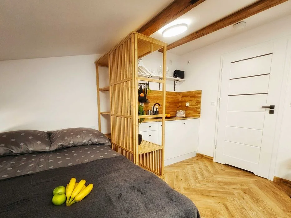 Apartament/mieszkanie w centrum do wynajęcia – zdjęcie 3