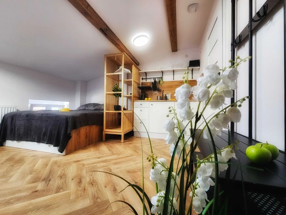 Apartament/mieszkanie w centrum do wynajęcia
