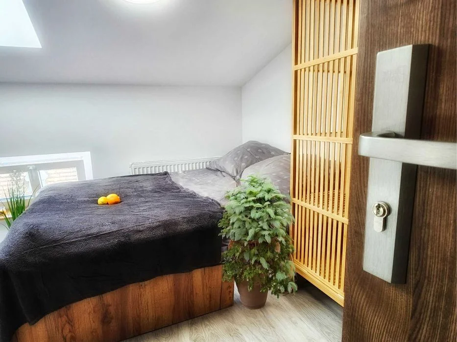 Apartament/mieszkanie w centrum do wynajęcia – zdjęcie 8