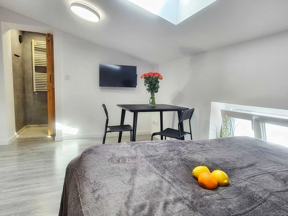 Apartament/mieszkanie w centrum do wynajęcia – zdjęcie 9