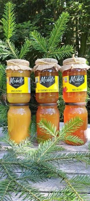 Miód pszczeli z własnej pasieki