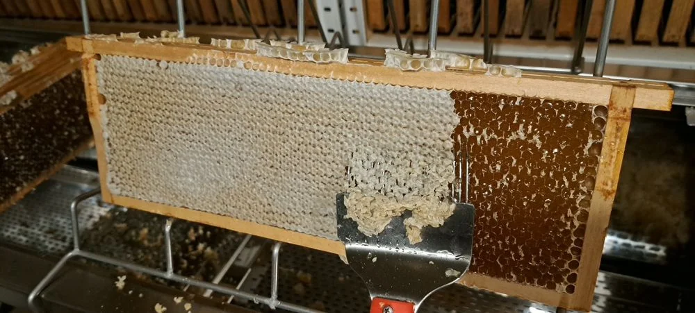 Miód pszczeli z własnej pasieki – zdjęcie 5
