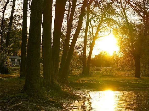 Domki nad jeziorem-8 km od Mielna – zdjęcie 7