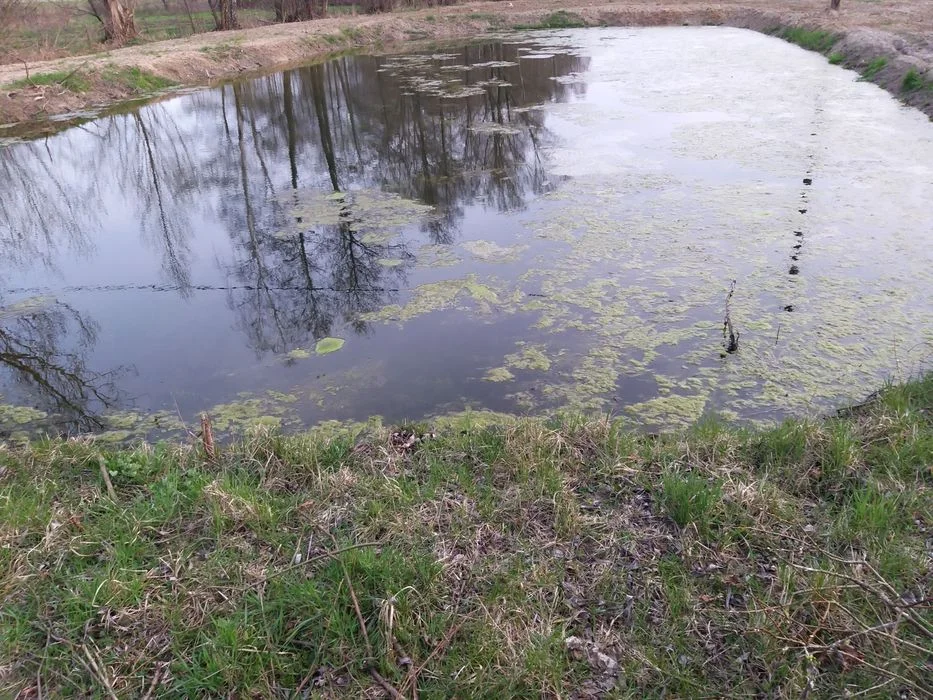 Domek wśród zieleni z S A U N Ą, Gor ą c ą b a l i ą, KOMINKIEM – zdjęcie 8