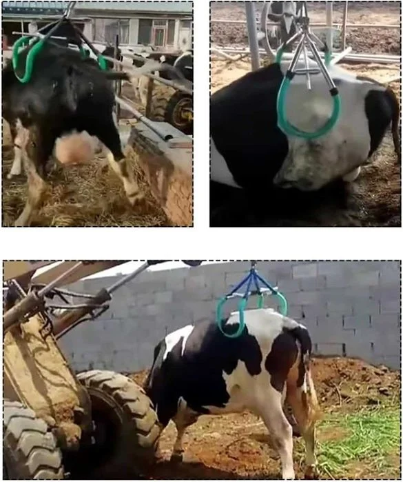 Przyrząd do podnoszenia krów podnośnik 800 kg – zdjęcie 6