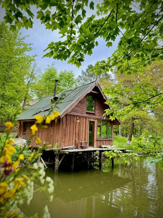 domek nad jeziorem w lesie, cisza, urlop. sauna, łowisko, grzyby, – zdjęcie 2