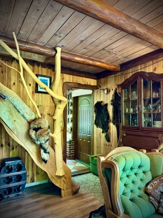 domek nad jeziorem w lesie, cisza, urlop. sauna, łowisko, grzyby, – zdjęcie 7